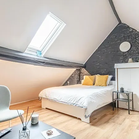 Spacious Shared 5Br Apt In The Heart Of Gent Exterior foto